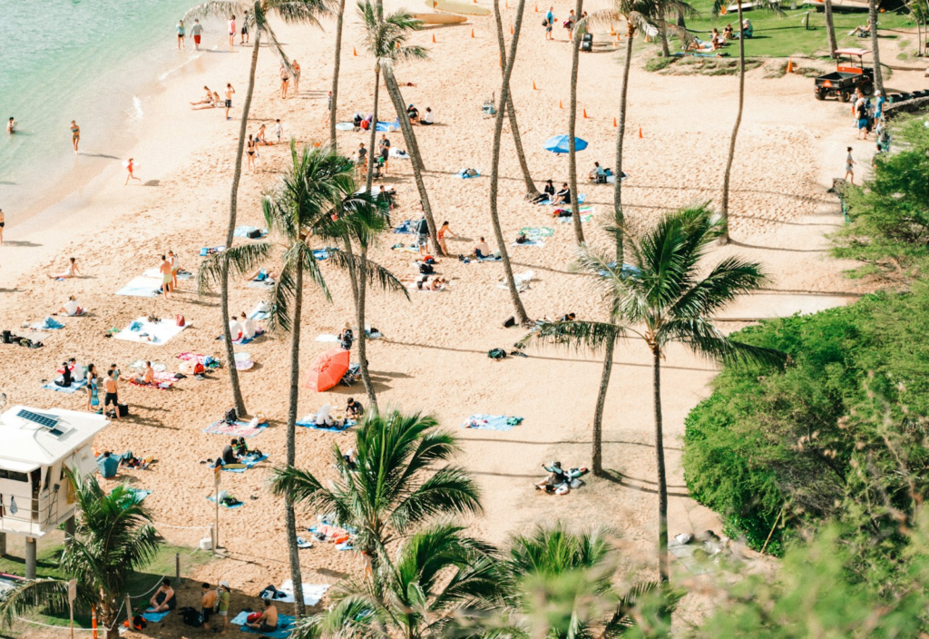 A Hawaiian shoreline lined with palm trees
